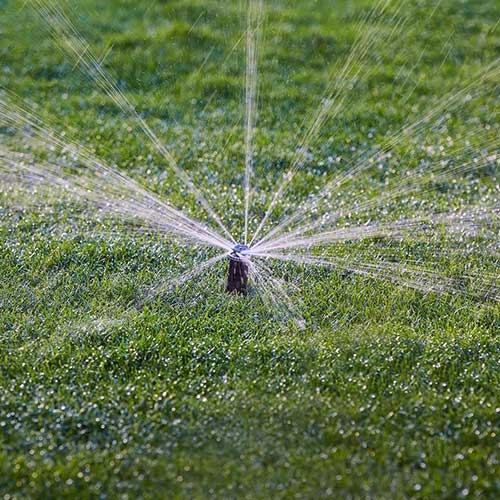 How to replace a broken sprinkler head ReticRenovation