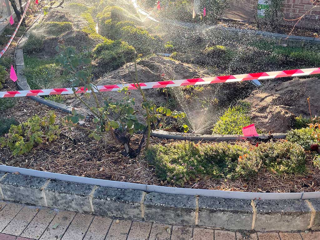 Drip Irrigation vs Spray Irrigation Which One is Right for Your Garden?