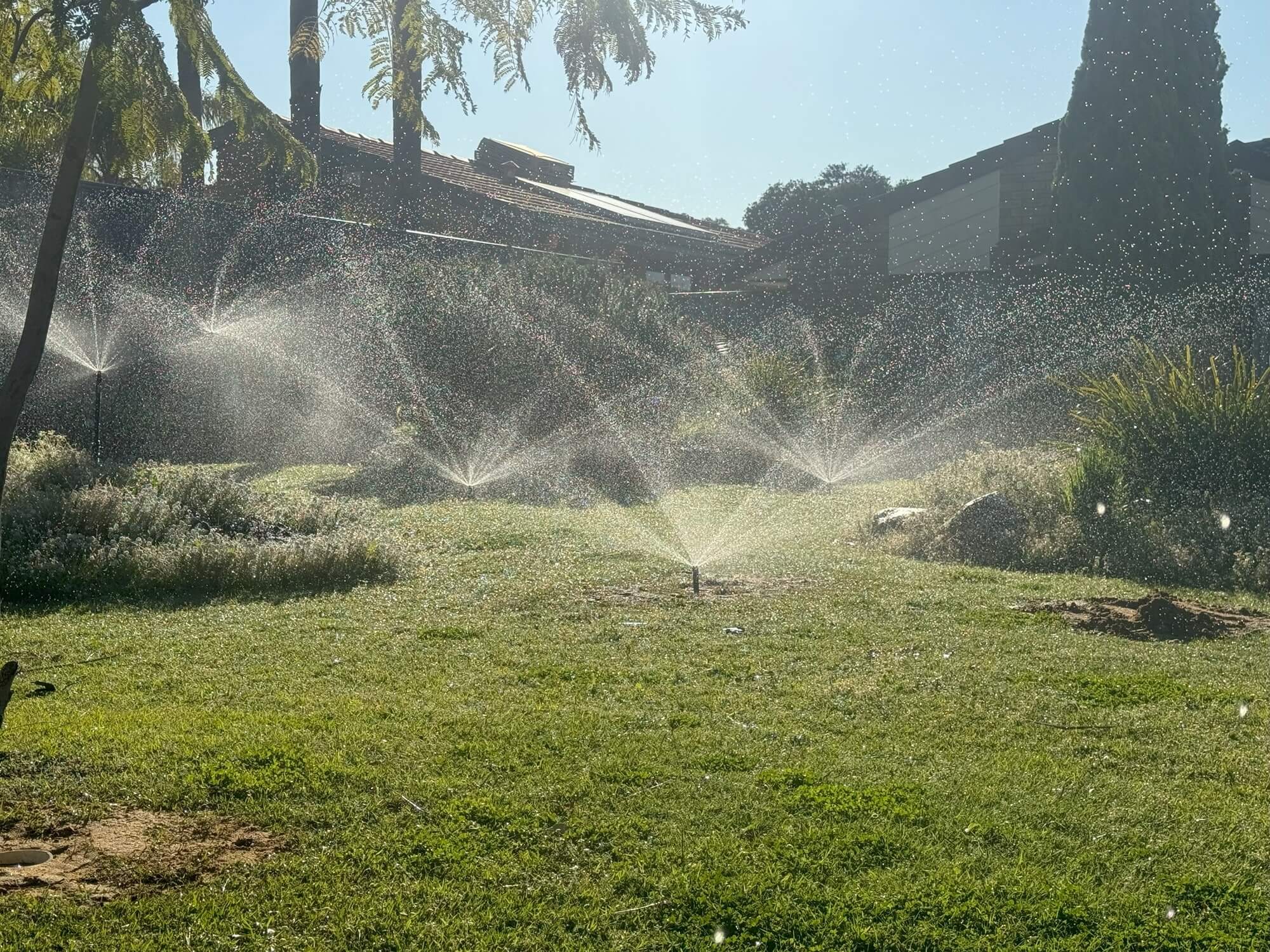 pop up sprinklers