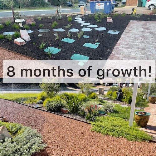 8 months of growth in a native garden
