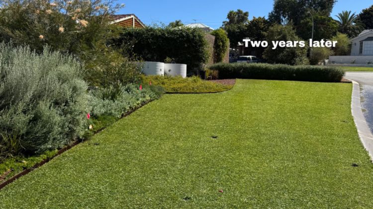 Duncraig native garden and lawn two years after installation