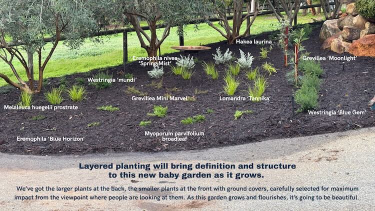 Layered garden diagram