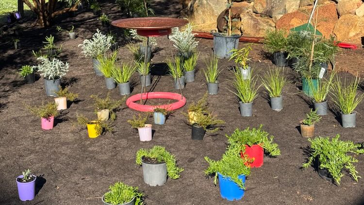 Recent garden installation